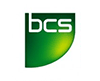 BCS Exam Questions