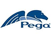 Pegasystems Exam Questions