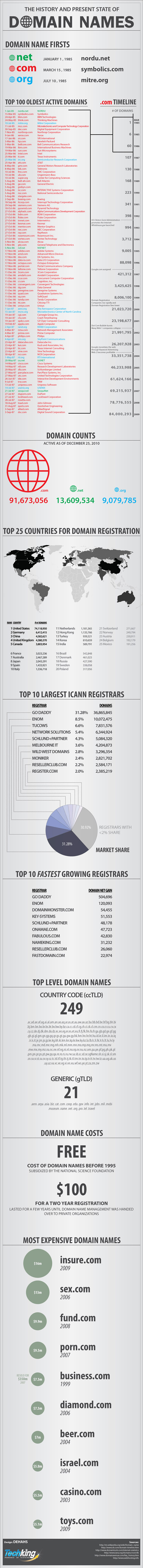 The History and Present State of Domain Names - Infographic