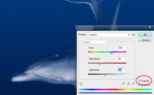 The Making of the Liquid Dolphin